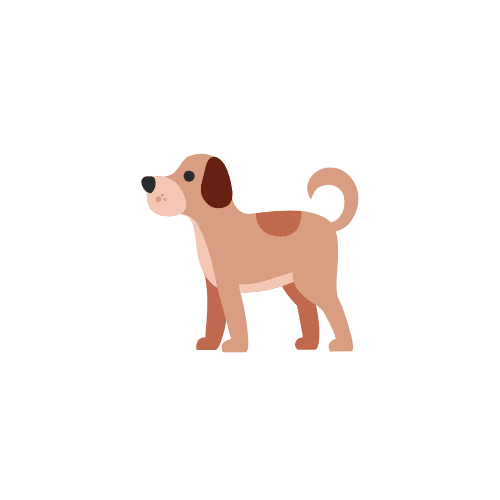 Large dog illustration representing breeds between 20-50 lbs