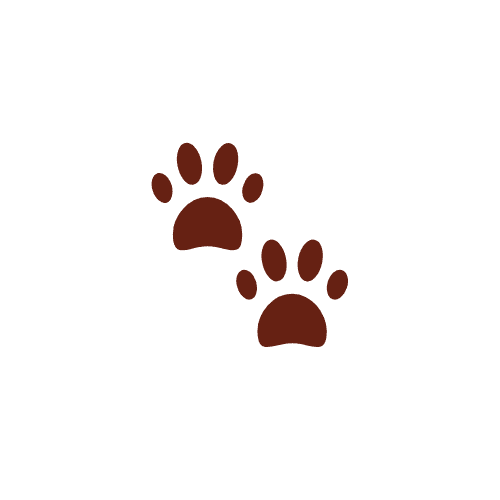 Dog Age Calculator - Puppy Stage